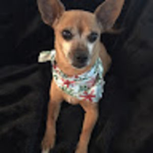 Meet your Posher, Sonia